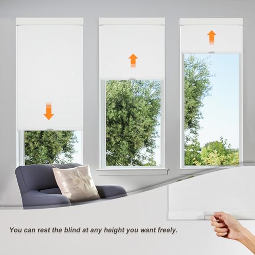 Blackout Roller Shades & Blinds