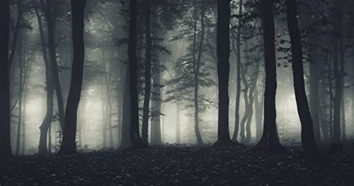 Foggy Forest Wallpaper Misty Jungle Rainforest Trees Nature Landscape Wall Mural