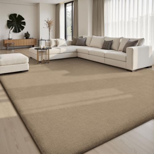 4x6 Area Rugs for Living Room Bedroom