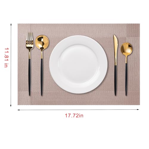 Placemats Set of 4 Washable Indoor (4 Count)