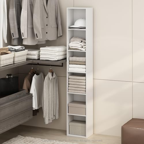 Cubicle 6 Tier Closet Organizers and Storage