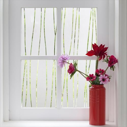 Window Privacy Film (38.69 Sq Ft)