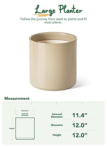 12 Inch Pot for Plants