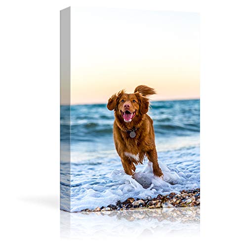 Custom Canvas Prints with Your Photos for Pet