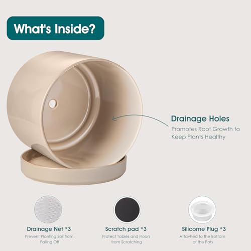 Ceramic Planters (3 Count)
