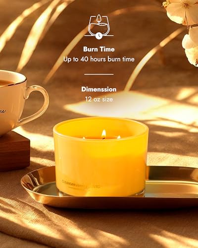 Luxury Palo Santo Candle (12 Ounce)