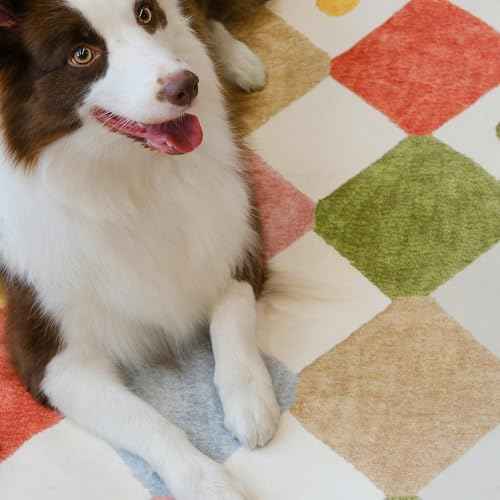 4x4 Square Rug Washable Kids Rug Colorful Checkered Play Mat (16 Sq Ft)