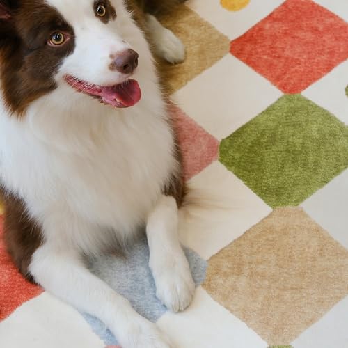 6ft Kids Round Rug Washable Colorful Checkered Classroom Rug (28.27 Sq Ft)