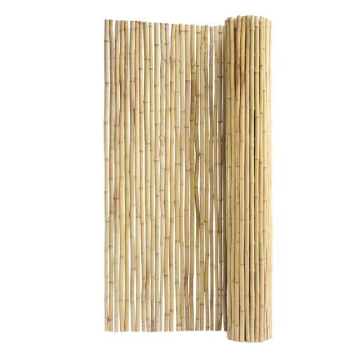 Natural Rolled Bamboo Fence (48 Sq Ft)