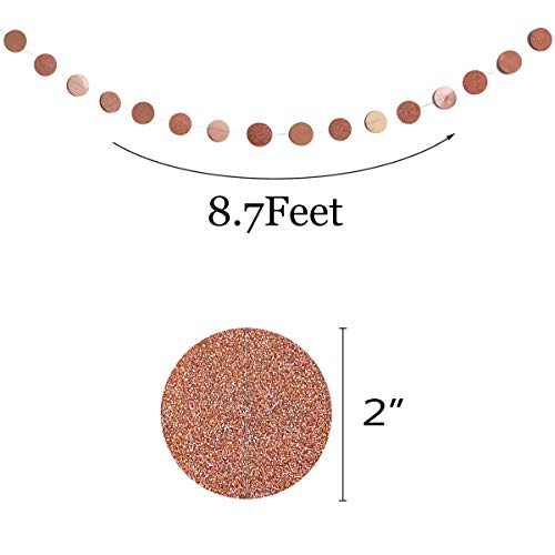 6 Pcs Rose Gold Paper Circle Dots Garland (6 Count)