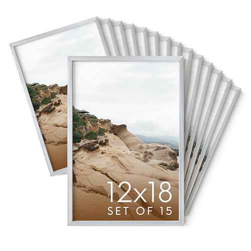 12x18 Silver Metal Picture Frames