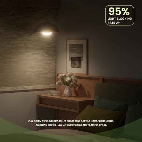 Blackout Roller Shades for Indoor Windows