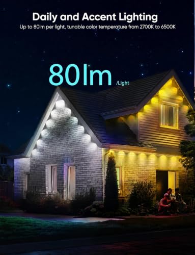 Permanent Outdoor Lights Pro