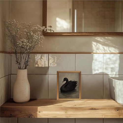 Framed Black Swan Canvas Wall Art