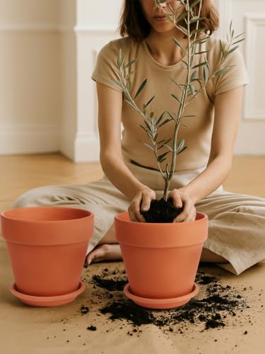Terracotta Pot Set of 2 with Saucer (2 Count)