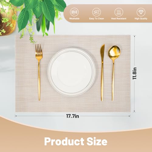 Placemats Set of 12 (12 Count)