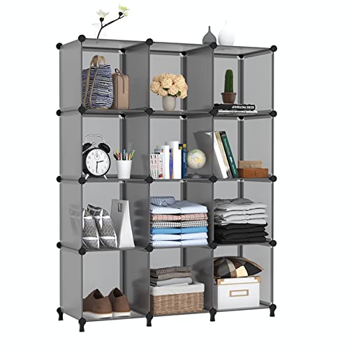 12 Cube Storage Organizer (12 Count)