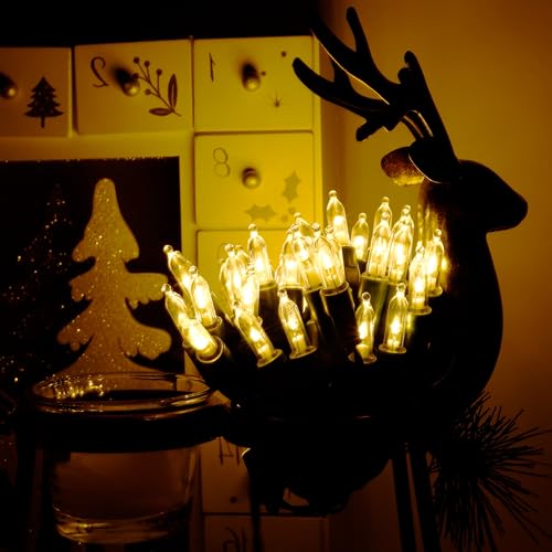 16 Ft 50 LEDs Warm White Christmas String Lights (4 Count)