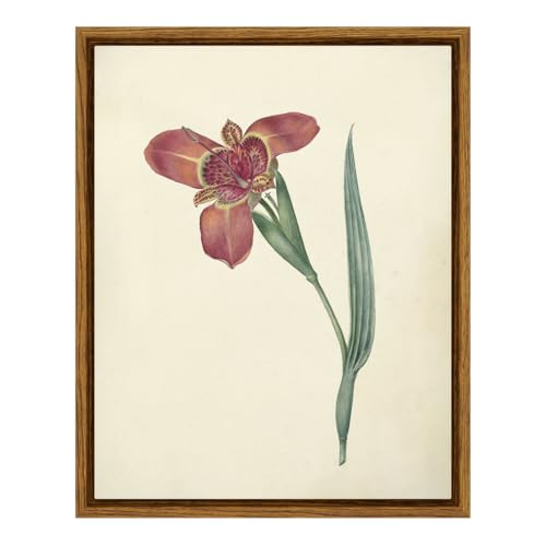 Framed Wall Art Decor for Living Room