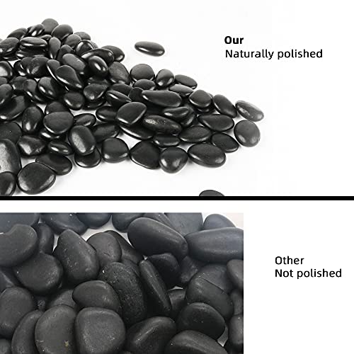 45lb Black Pebbles for Plants (720 Ounce)
