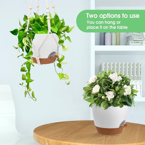 8'' Self Watering Hanging Planters with 2 Kinds of Plant Hangers (2 Count)