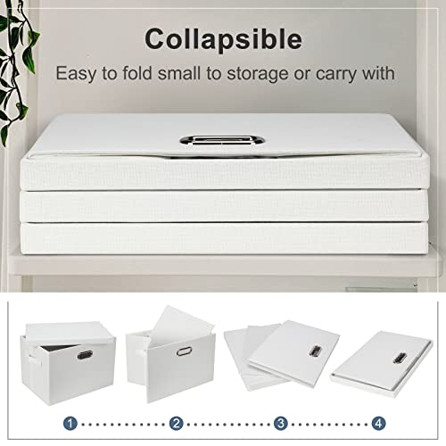 Large 17" 36 Quart Collapsible Stackable Storage Bins with Lids (5 Count)