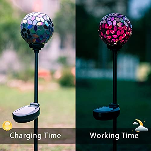 Decorative Solar Garden Lights