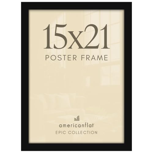 15x21 Poster Frame