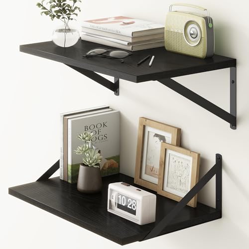 Black Floating Shelves 18 Inch Long (2 Count)