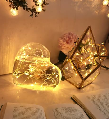 6 Pack 7Ft Starry Fairy String Lights No Remote Waterproof 20LED Warm White (6 Count)