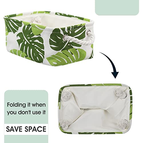 Storage Cubes (6 Count)