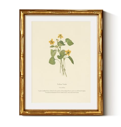 Gold Framed Bamboo Wall Art