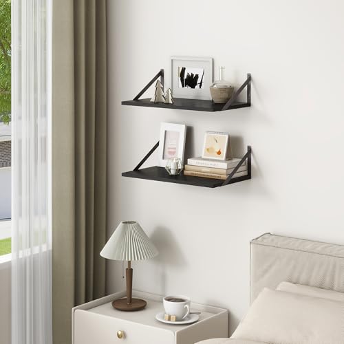 20 Inch Floating Shelves for Wall (2 Count)