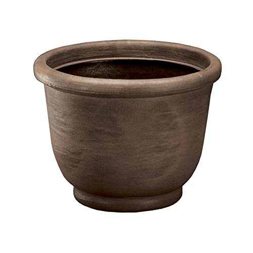 Agave Planter