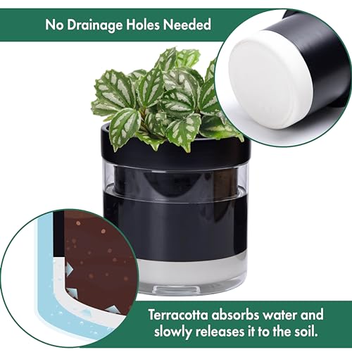 6 Inch 4 Inch Self Watering Terracotta Planter