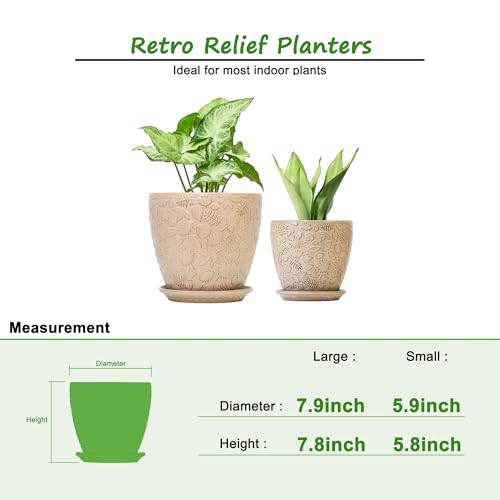 8 Inch + 6 Inch Retro Ceramic Planter Set of 2 with Drainage Hole and Saucer for Multiple Plants (2 Count)