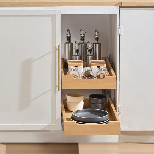 2 Tier Pull Out Cabinet Organizer