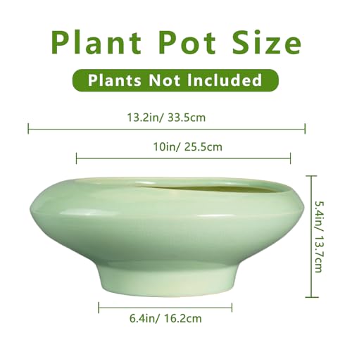 Ceramic Bonsai Pots