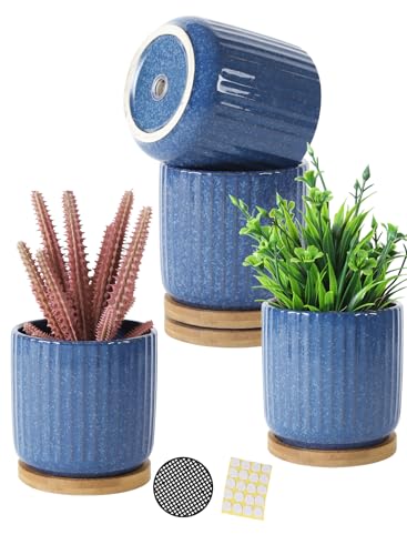 4 Inch Cylinder Ceramic Plant Pots with Trays (4 Count)
