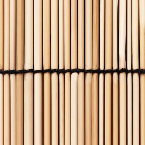 Bamboo Reed Fencing