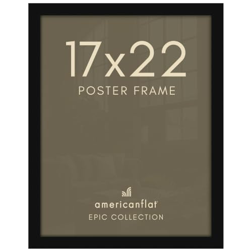 17x22 Poster Frame