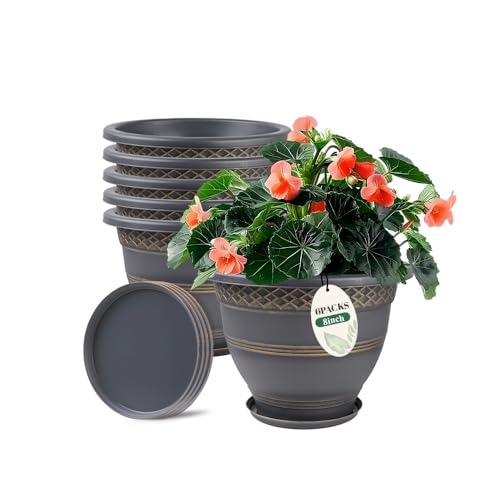 8 Inch Plant Pots (6 Count)
