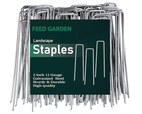 6 Inch 50 Pack Hot (50 Count)