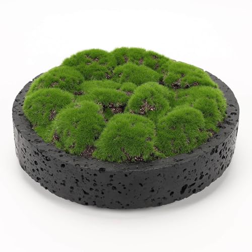 New Moss Bowl