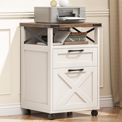 Office Filing Vertical Cabinet with 2 Drawers