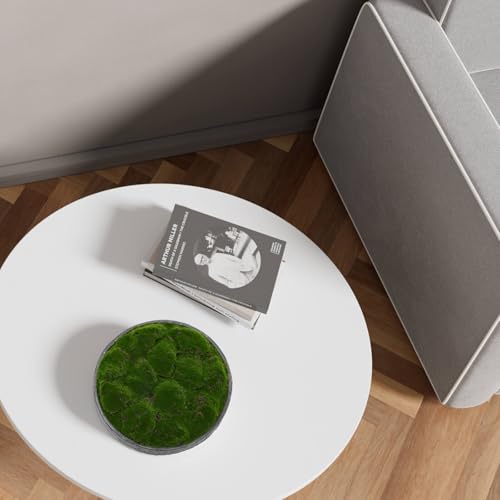 New Moss Bowl
