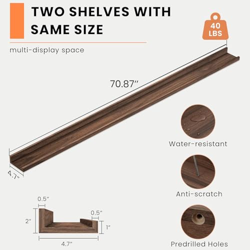 Picture Ledge Shelf