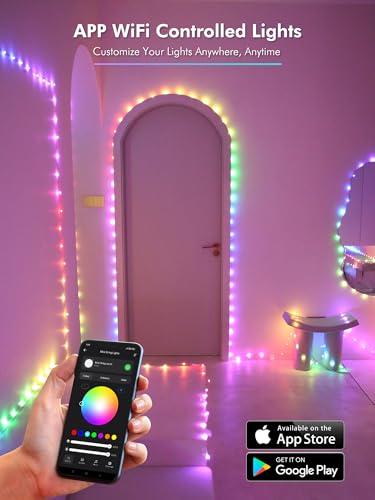 Smart RGB Fairy Lights 100 LED