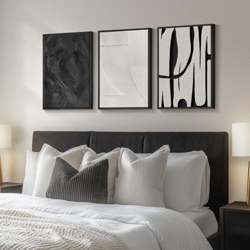 Framed Black and White Modern Abstract Wall Art set (3 Count)