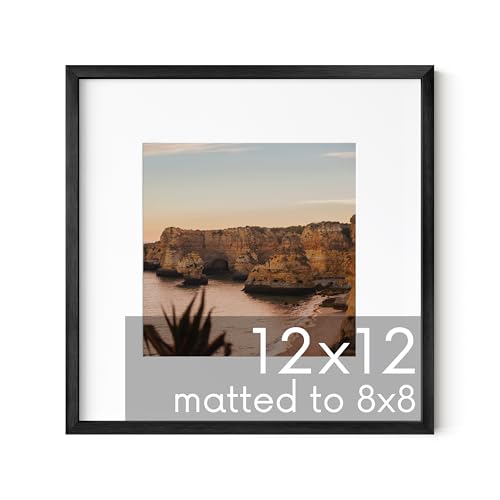 12x12 Black Metal Picture Frame Matted to 8x8